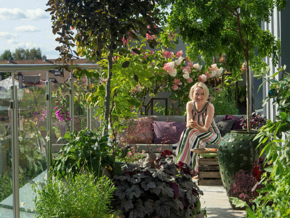 FLERÅRIGE UTEPLANTER: Anne Holter-Hovind sverger til planter som tåler å stå ute året rundt på terrassen sin. Foto: Heidi Holter-Hovind