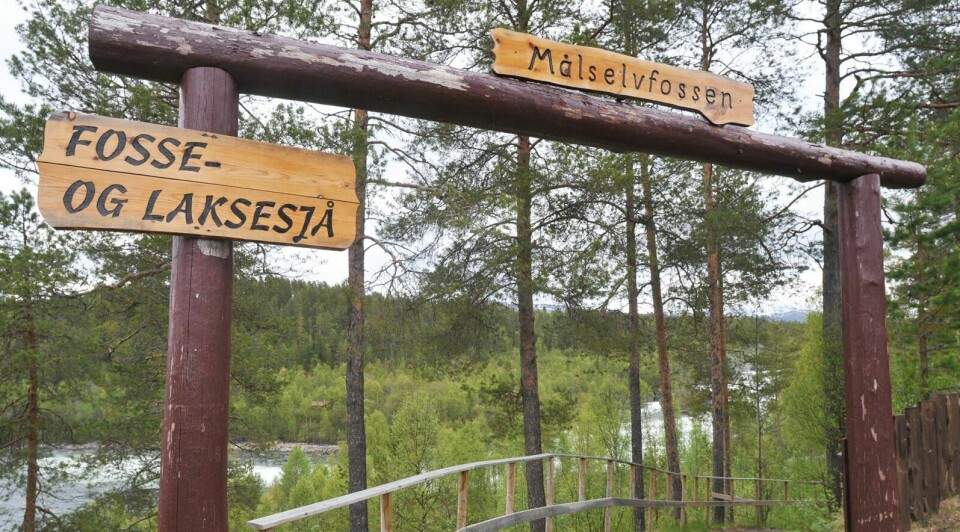 Laksetrappa i Målselvfossen får seg bedre utstyr med midler fra Statskog. Foto: Terje Tverås