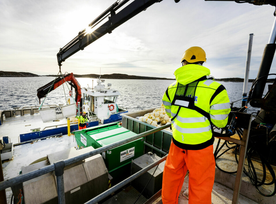 OPPDRETT: Båt ved et oppdrettsanlegg til havs i Frohavet på Trøndelagskysten. Illustrasjonsfoto: Gorm Kallestad / NTB