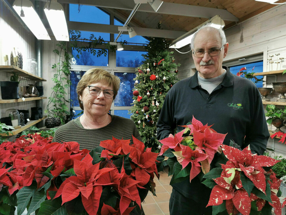 VEMODIG: Ivar og Anne Marie kjenner på at det blir vemodig å selge den siste julestjerna.