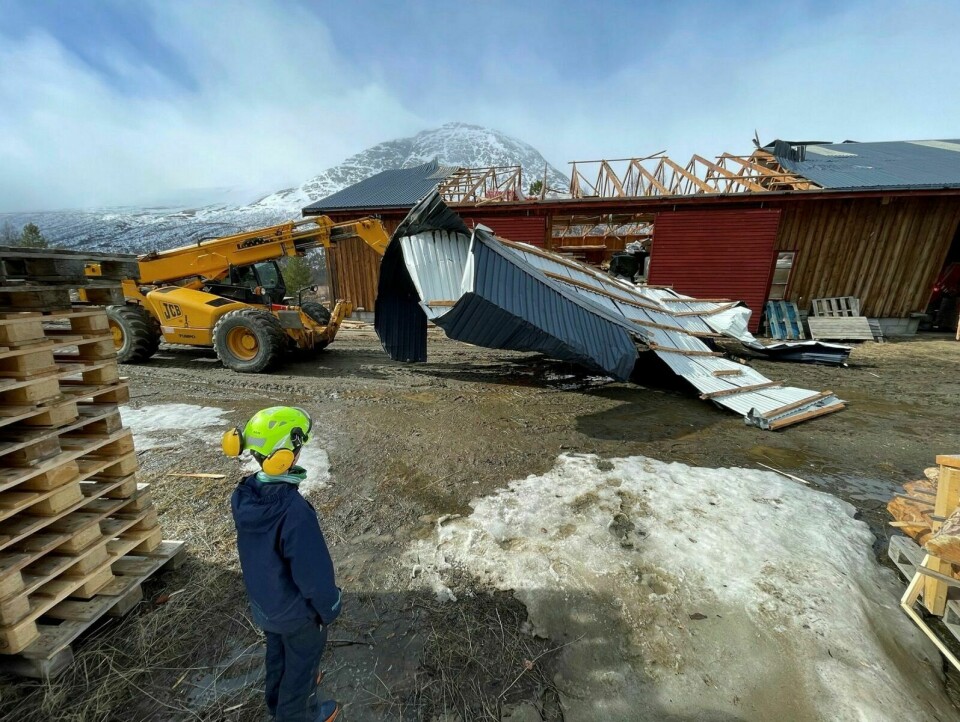 ØDELAGT: Taket på lagerbygninga på Frihetsli-gården ble flerret omtrent helt av, av de sterke vindkastene. Foto: Mikael Ritman / Dividalsbygg