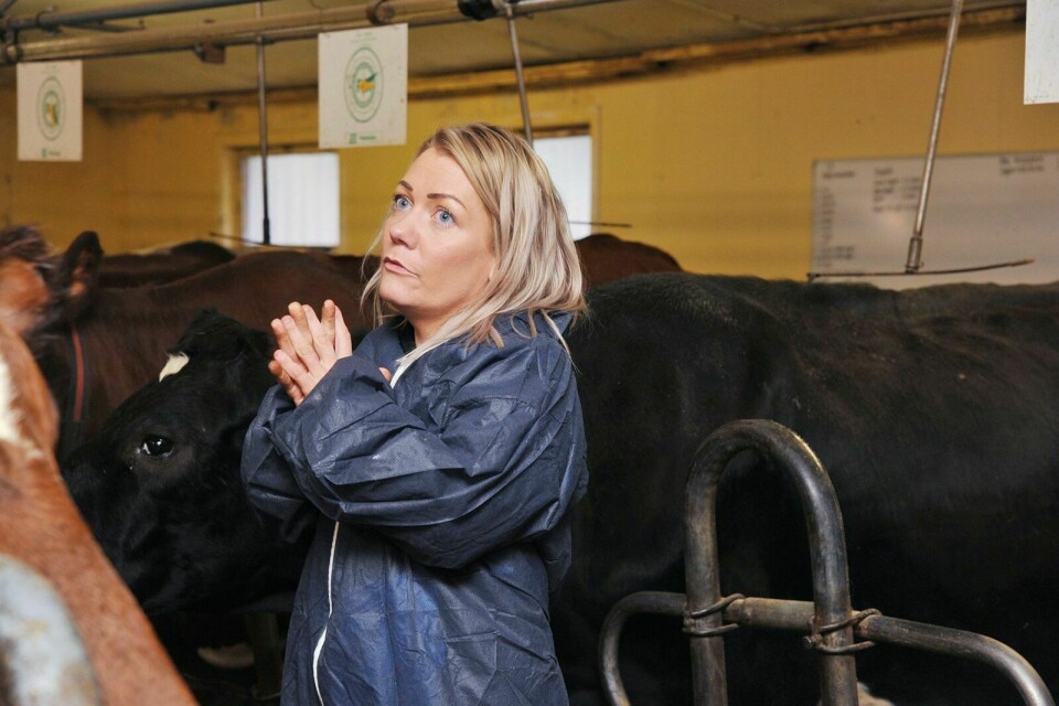 BEREDSKAP: Landbruks- og matminister Sandra Borch varsler at det er igangsatt et arbeid for å se på beredskapslagring av mat i Norge. Arkivfoto: Kari Anne Skoglund