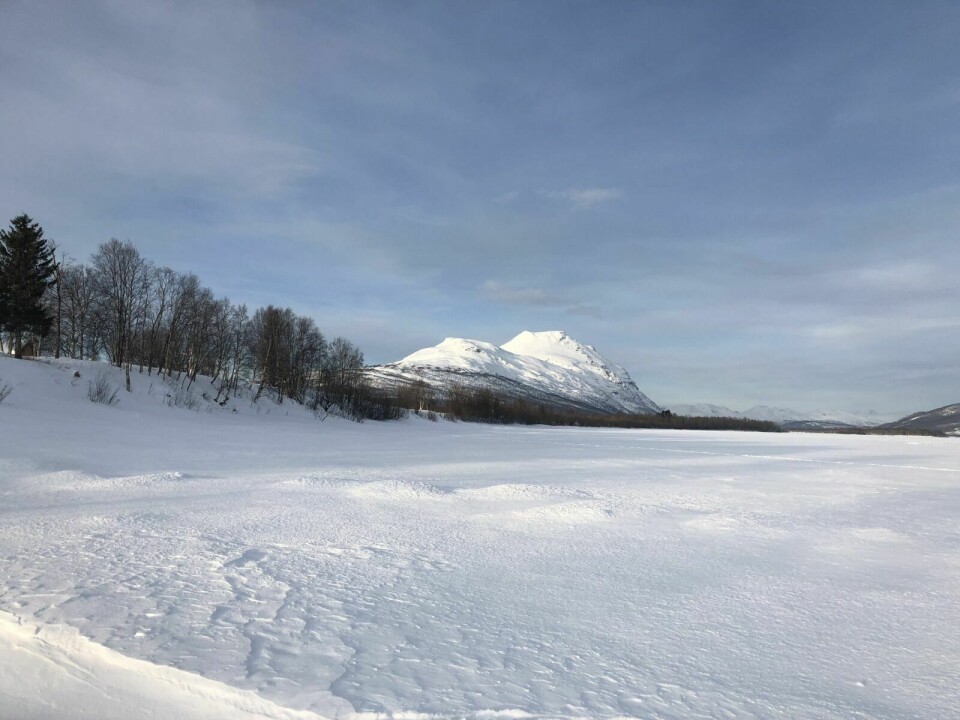MÅLSELVA: Myndighetene jobber for å ivareta naturreservatet ved Målselvutløpet. Foto: Kari Anne Skoglund