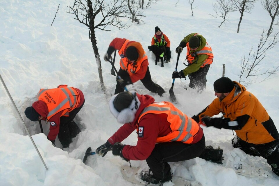 TATT AV SKRED: Medlemmer fra lokallagene til Røde Kors i Målselv og Bardu deltar her i et iscenesatt scenario hvor de skal grave ut en som er 'tatt av skredet'. Foto: Torbjørn Kosmo