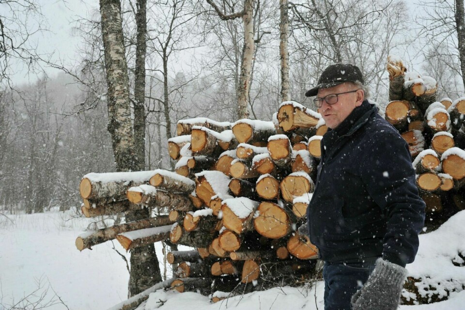 MENINGSYTRER: Rådgiver innen skogbruk, Gunnar Kvaal, fra Storsteinnes. Arkivfoto: Leif A. Stensland