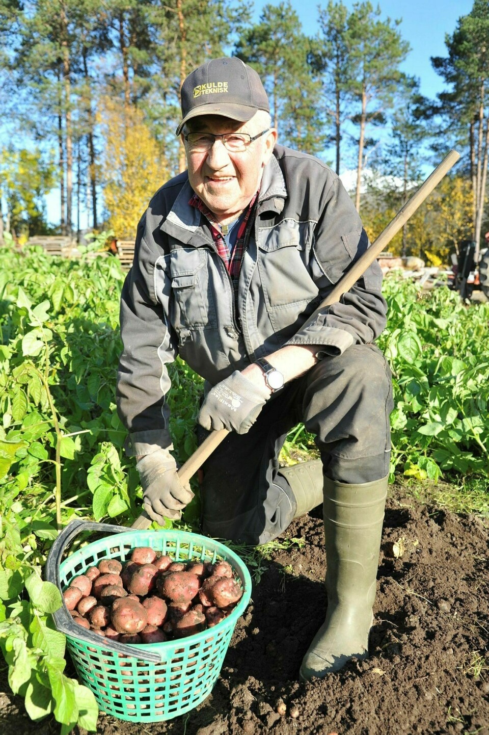 FORNØYD: Med bøtta full av potet er Tormod Stormo godt fornøyd med årets potetavling. Foto: Leif A. Stensland