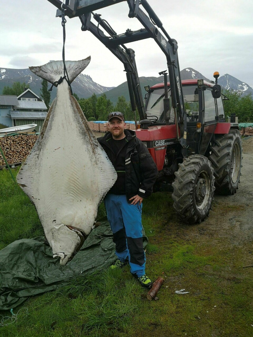 FISKELYKKE: Det var ikke ei lita kveite Ørjan Skogeng fikk på kroken på fjorden i Malangen sist måned. 140 kilo veide den. Foto: Privat