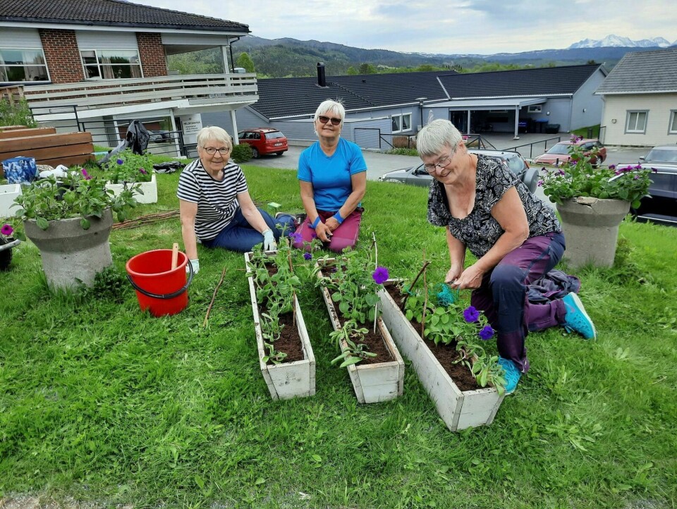 FIKSER BLOMSTER: Ingjerd Johnsen, Eva Heimro og Birgit Brox sørger for at blomsterkassene ikke blir stående tomme i sommer. Foto: Privat