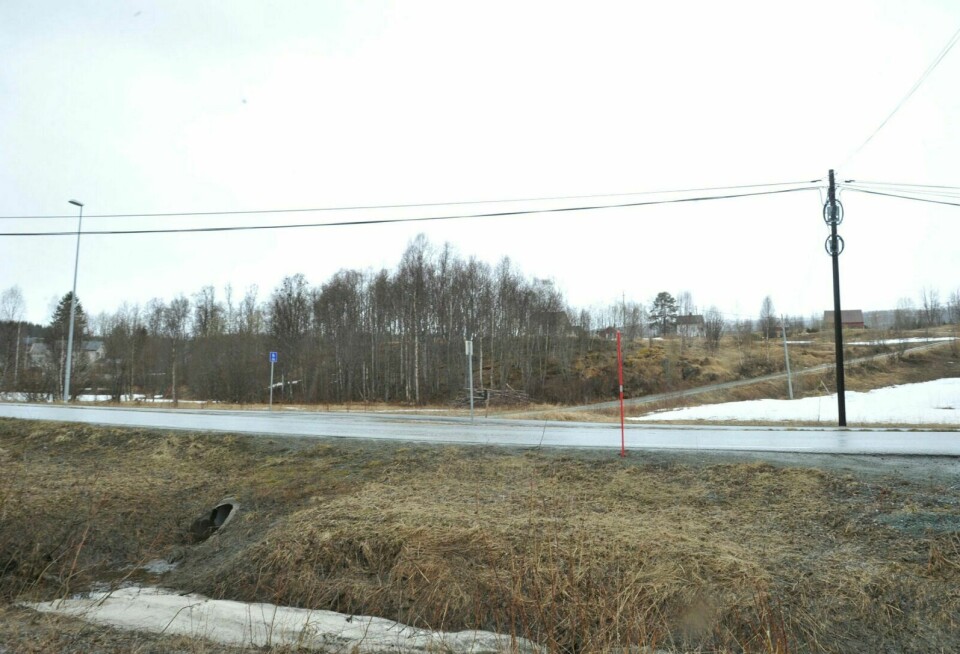 TOMT: På denne tomta, planlegger kommunen å bygge skole på Mestervik, dersom skolebygging blir vedtatt etter prosjekteringa. FOTO: Leif Stensland Foto: Leif A. Stensland