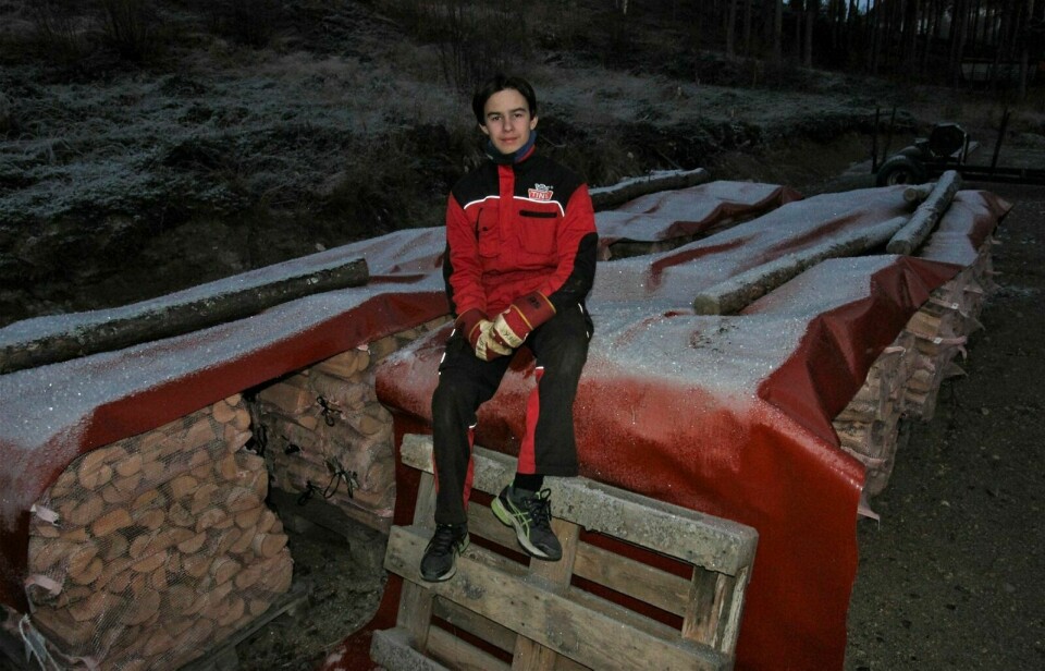 NÆRINGSVETT: Andreas Fosslund Karlsen (16) har selv produsert alle de 190 sekkene som i høst har ligget pent stablet på paller på Brandsegg i Nedre Bardu. Foto: Vera Lill Bjørkhaug