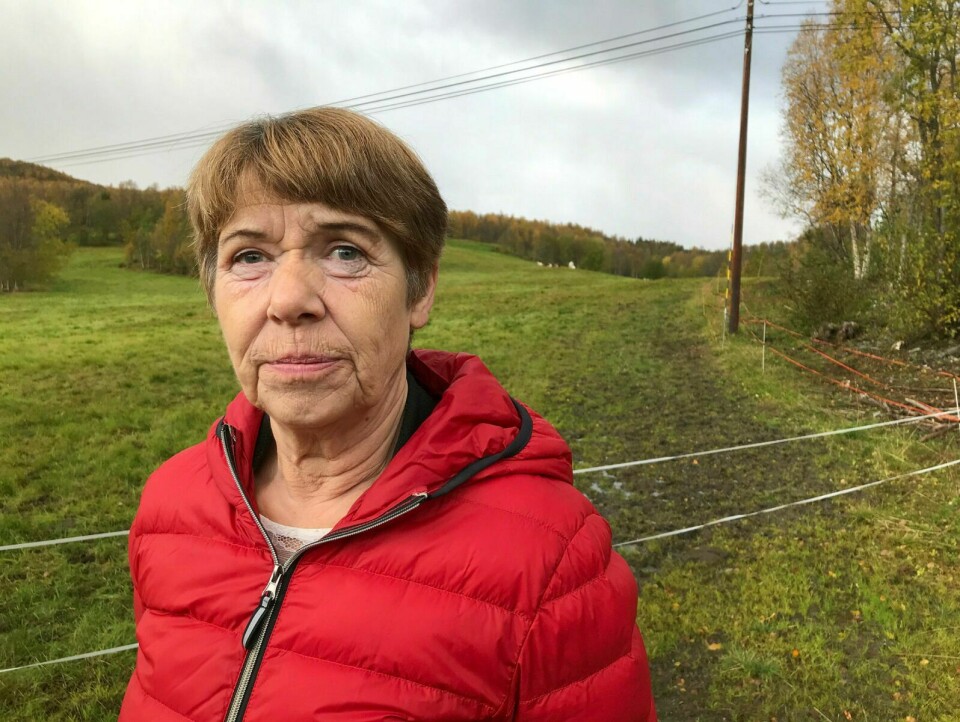 BEKYMRET: Balsfjordordfører Gunda Johansen sier det er all grunn til å være bekymret for landbrukets fremtid, også i Balsfjord som hun mener ikke lenger kan skilte seg med status som Nord-Norges største landbrukskommune.