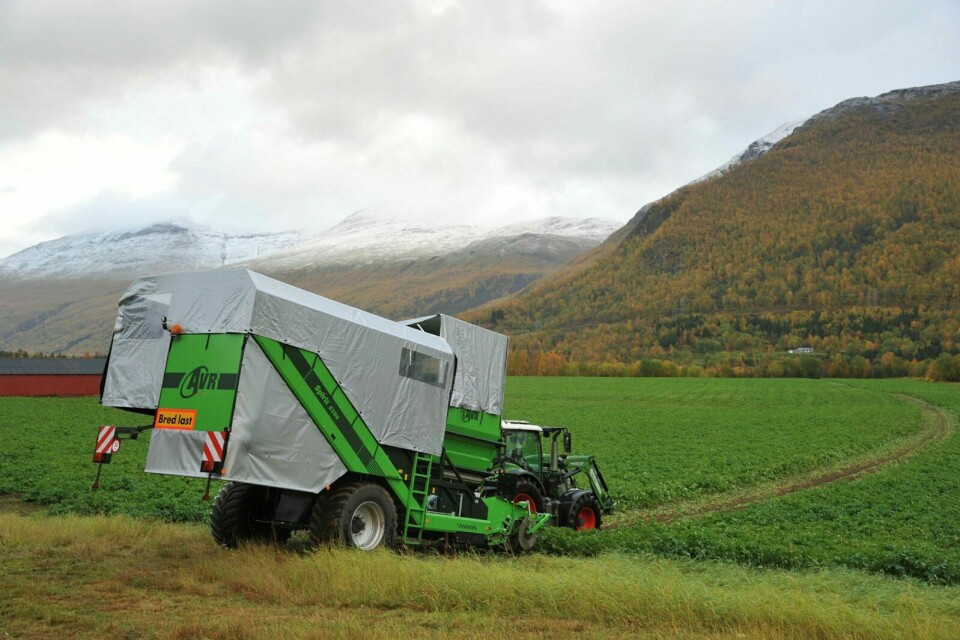 HEKTISK INNSPURT: Potetbøndene i Midt-Troms har en hektisk periode med å få all poteten opp av jorda før snøen kommer.