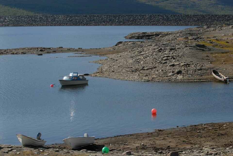 NEDTAPPINGA SLITER PÅ ØKOSYSTEMET: Rapporten om fiskebestanden konkluderer med at livet i Altevatnet (bildet) har dårligere kår enn sin 'uberørte' kusine lenger nord, Takvatnet, på grunn av kraftproduksjonen. Foto: Terje Tverås (Arkiv)