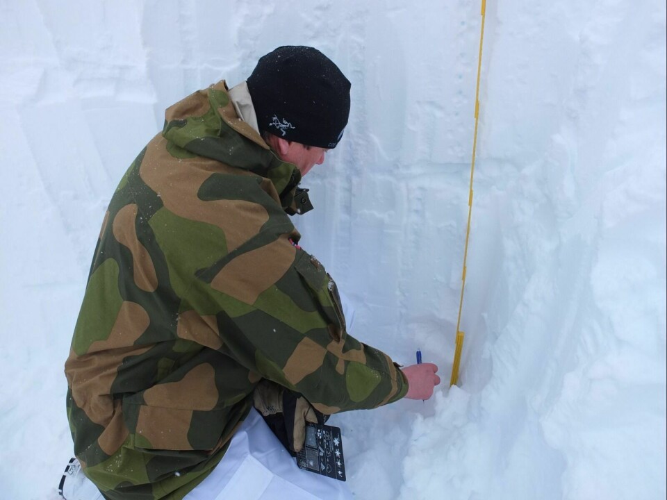 MÅLE TEMPERATUR: For å danne et bilde av hvordan snølagene kan påvirkes er det nyttig å vite hvilken temperatur snøen har. Derfor måles temperatur i alle lagene i snøprofilen. Foto: Nora Alette Sandberg