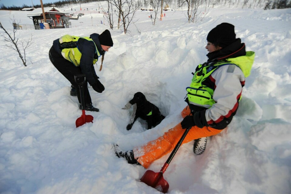 LUKTESANS: Hundene er definitivt de i letemannskapet med aller best luktesans, og søndag fikk de virkelig vist at den mest effektive måten å finne noen i snøen på, ikke er med letestang, men med nesa. Foto: Maiken Kiil Kristiansen