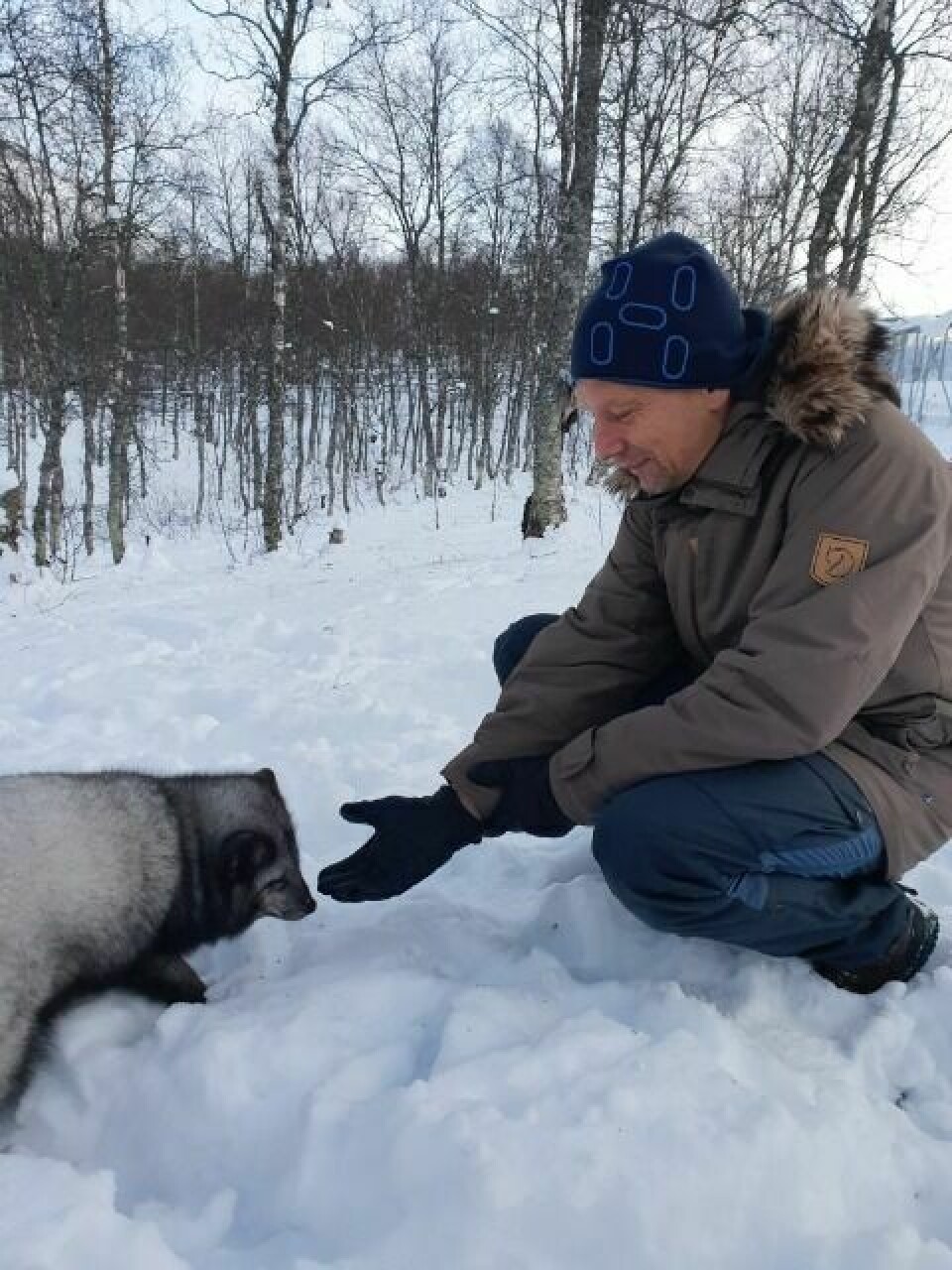 SOSIAL: Dyreparksjef Jens-Kristian Dybwad har fått god kontakt med de nye beboerne i parken. Foto: Polar Park