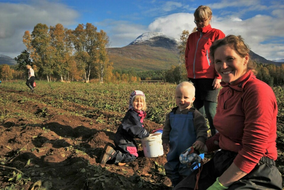POTETOPPDRAGELSE: Karine Nigar Aarskog (nærmest) og Mona Iren Herfoss hadde med seg barna på sjølplukk. - Det er artig at de lærer hvor poteten kommer fra, sa de to mødrene.