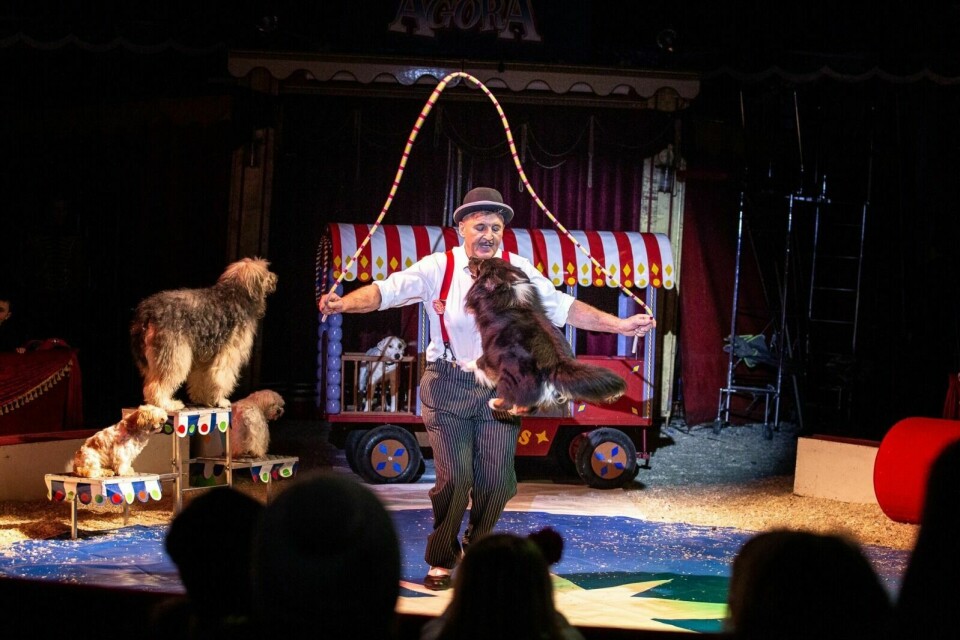 JUBILERER: Jan Ketil Smørdal har holdt det gående i 30 år med sitt Cirkus Agora. Nå er sirkuset ute på jubileumsturné, og til uka stopper de i Nordkjosbotn, på Moen, på Finnsnes og på Setermoen. Der kan man bl.a. oppleve Edi Lafortes hundenummer. Foto: PRESSEFOTO