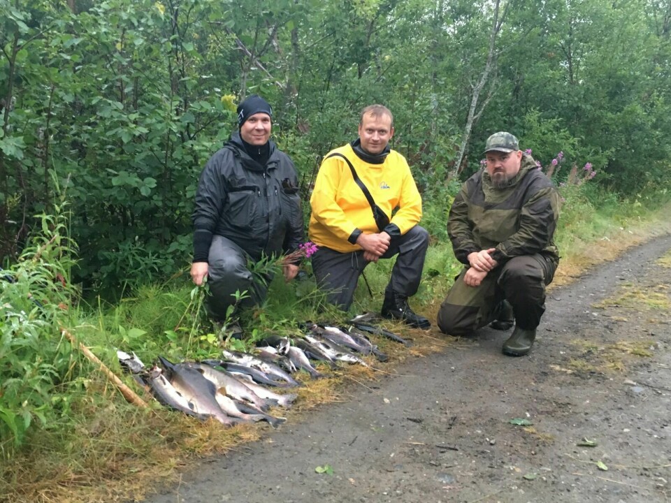 FISKERE: Etter at de hadde lokalisert ei gytegrop var raskt enklere å dra pukkellaksen opp fra elva for Niklas Abrahamsen, Stig Jernberg Larsen, Espen Fossland og Rolf Skare (ikke på bildet.) Foto: Privat