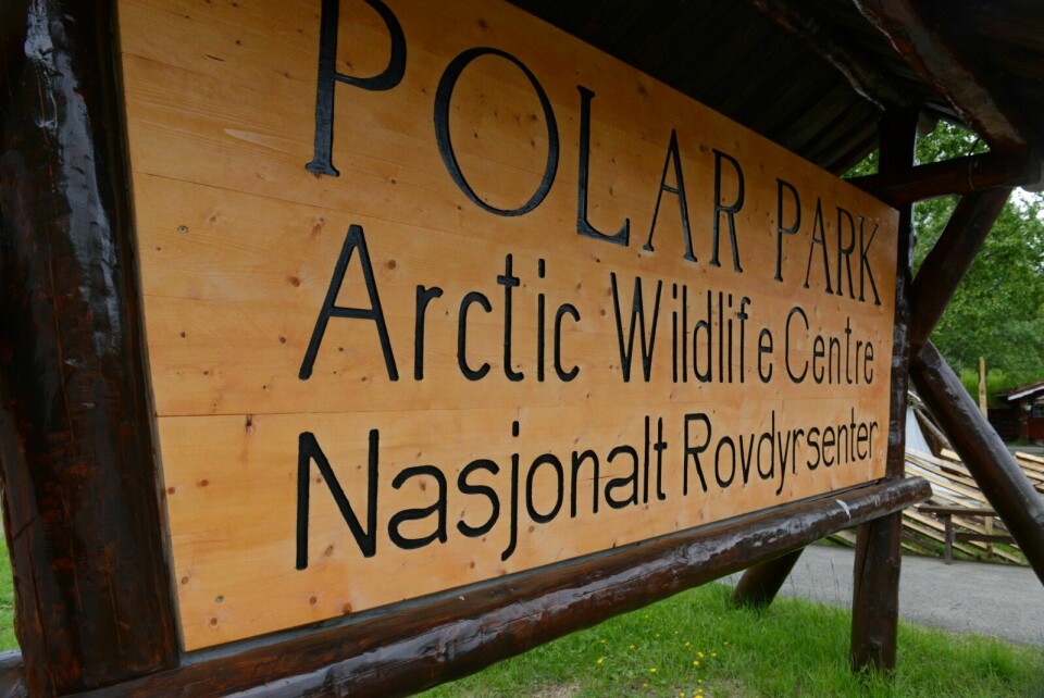 TO ÅR I MINUS: Polar Park har drevet med røde tall de to siste årene – der fjoråret er det verste. Foto: Knut Solnes