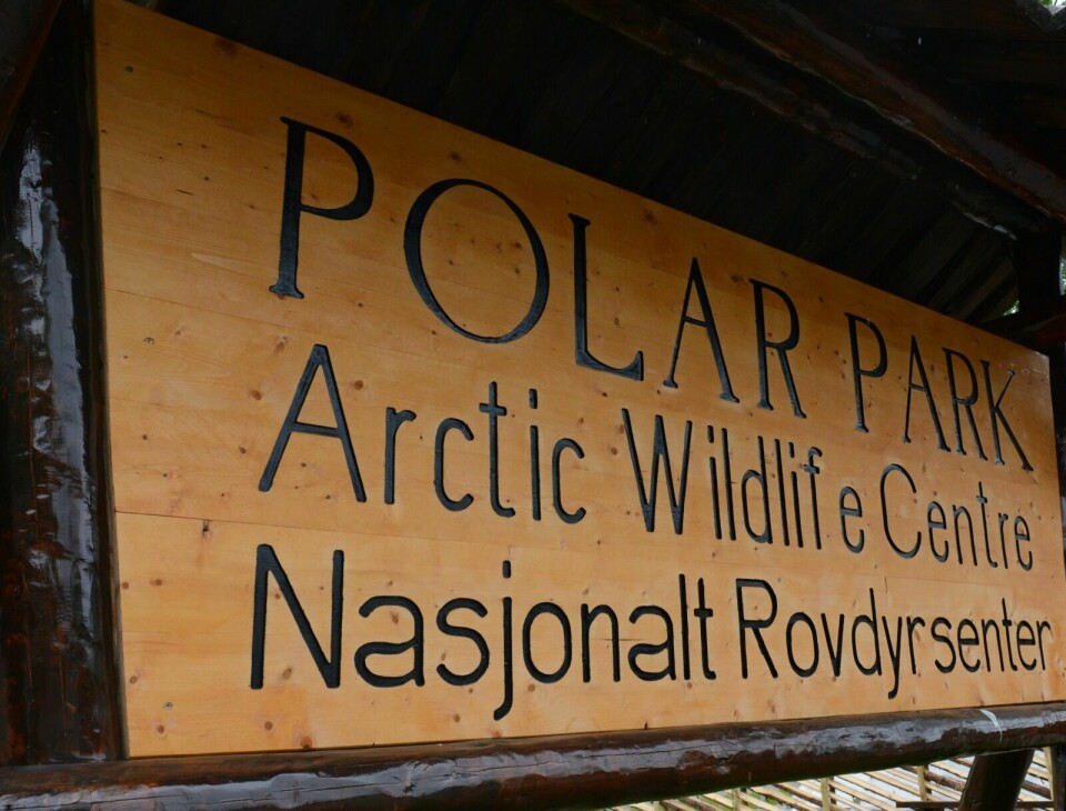 25 ÅR: Polar Park feirer 25-årsjubileum i helga. Foto: Knut Solnes