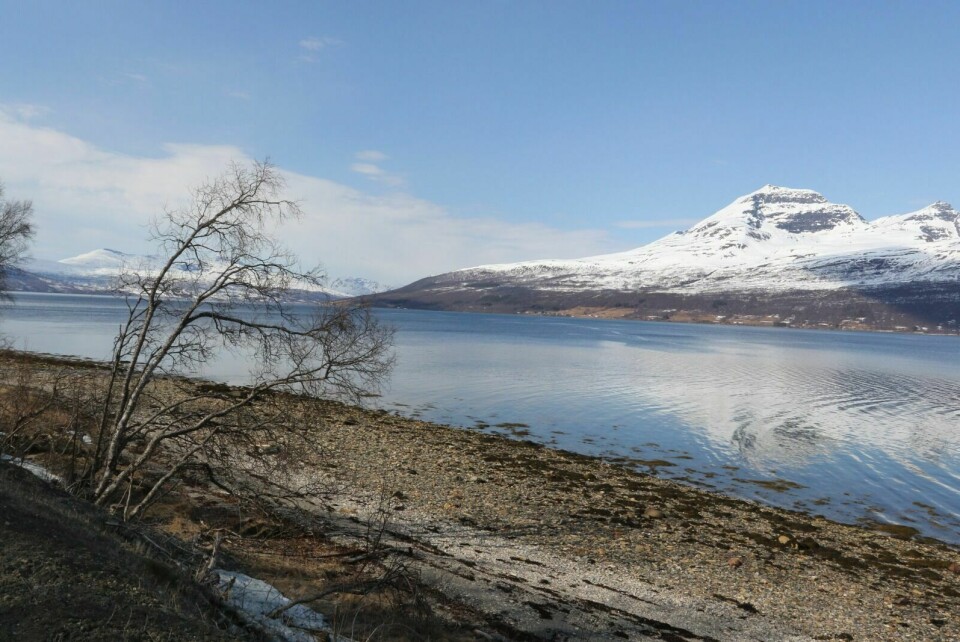 TO LOKALITETER: I denne fjorden, ved Skredan og Middagsneset ønsker Mowi å etablere to lokaliteter, der de håper den ene skal bidra til utvikling i en bransje som ønsker seg et bedre omdømme. Foto: Ivar Løvland