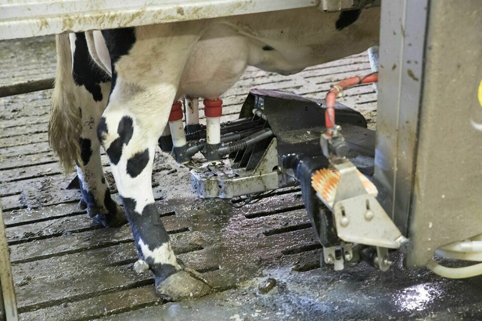 Etter tørkesommeren ble det overproduksjon av melk på høsten. Nå kuttes prisen for å unngå mer overproduksjon. (Illustrasjonsfoto) Foto: Terje Bendiksby / NTB scanpix