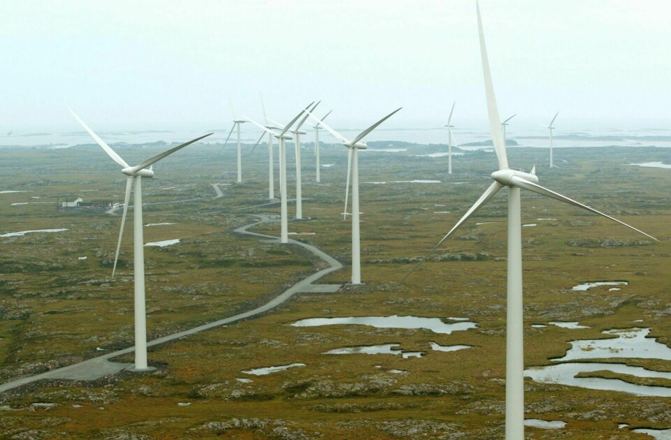 For mange for fort. Naturvernerne er kritiske til omfanget og tempoet i den planlagte vindkraftutbyggingen i Norge. På bildet ser vi vindmølleparken på Smøla i Møre og Romsdal. Foto: Bjørn Sigurdsøn / NTB scanpix