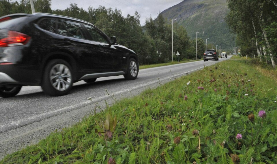 BREDERE VEG: Prosjektgruppa foreslår at veistrekka fra Brandvoll til Olsborg bør utvides til å bli ti meter bred i enkelte områder, for å oppnå bedre trafikksikkerhet. Dette er den strekninga i Midt-Troms med størst årsdøgntrafikk. Foto: Malin C. Straumsnes