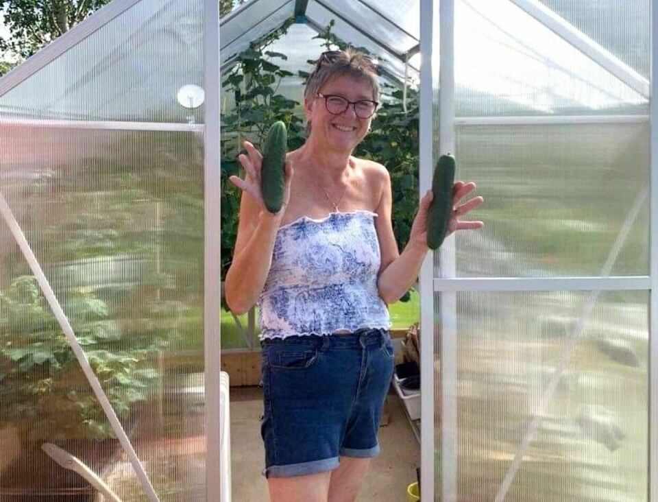 HOBBYGARTNEREN: Randi Solheim Alvestad betegner seg selv som hobbygartner. Å dyrke agurker synes hun er kjempeartig og noe hun mener alle får til. Foto: Privat