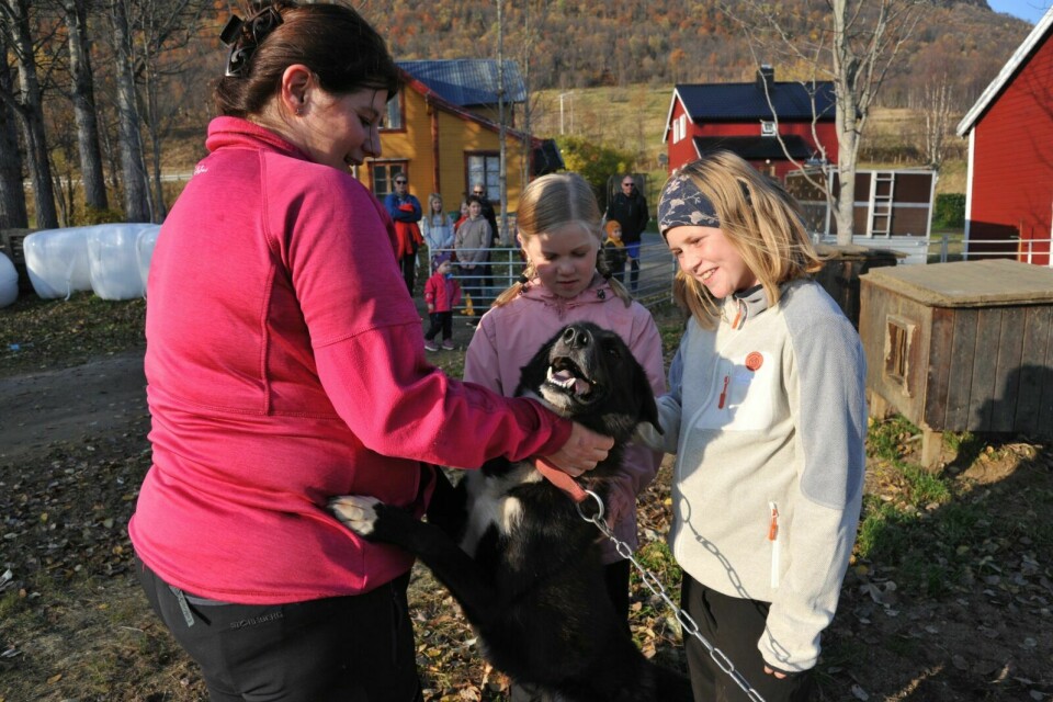 HUNDER: Sofie og Leonora hadde tatt turen fra Narvik. De syntes det var stas å hilse på hunder som Cola. Til venstre ser vi gårdseier Monica Olaisen. Foto: Kari Anne Skoglund