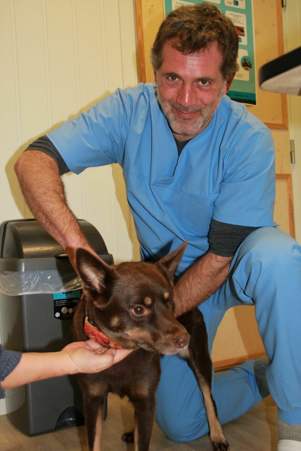 KIROVET: Tyske Alex Mathey har denne høsten kunnet tilby kiropraktorbehandling i tillegg til tradisjonell veterinærbehandling ved smådyrklinikken. Her er det hunden Mille som får hjelp av Matheys kyndige hender.