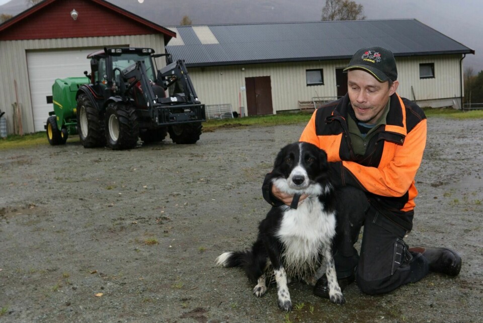PÅ SANKING: Jan Tore Fagerli er spent på hva høstens sauesankinga med gjeterhunden Micko vil gi av resultater. Foto: Ivar Løvland