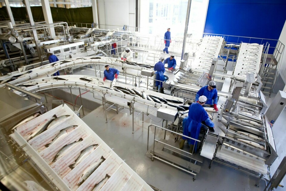 Bilde fra Salmars produksjonshall på Frøya i Trøndelag. Foto: Gorm Kallestad / Scanpix