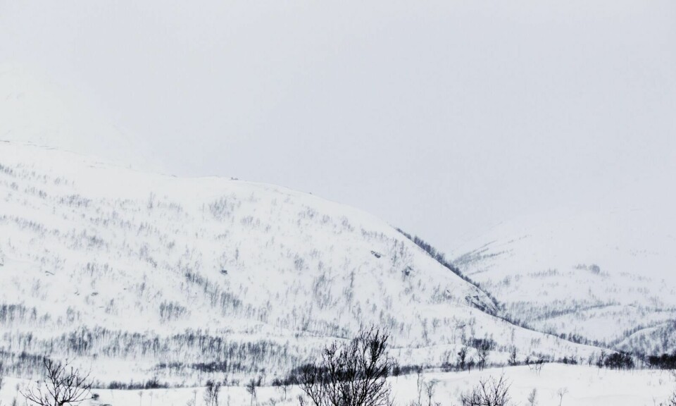 RØDT: I store deler av Troms, blant annet i Indre Troms, er det snøskredfaren satt til rødt farenivå, mdandag. Foto: NTB/Scanpix