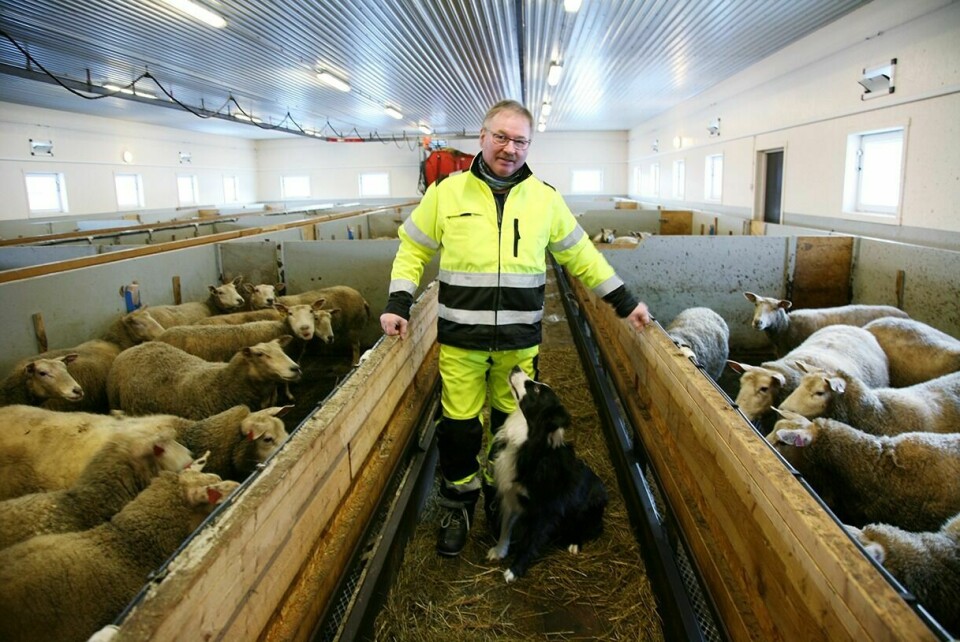 URETTFERDIG: Jan Ottar Østring på Kjerresnes ble valgt til leder i Troms sau og geit fra i år. – Mange fortviler over urettferdig prispolitikk, sier han. Foto: Lill-Karin Elvestad