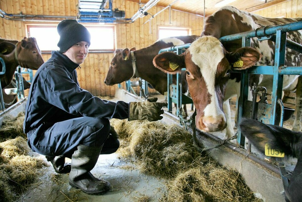 LIVSVALG: – Jeg har visst siden ungdomsskolen at jeg ville bli bonde, sier Ole Jakob, som mest av alt liker den varierte arbeidsdagen bondeyrket innebærer. Foto: Lill-Karin Elvestad