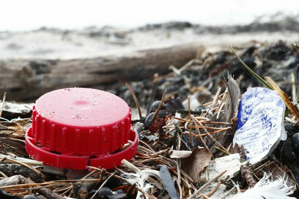 STORT PROBLEM: I disse dager dukker det opp plast, mikroplast og mye skrot i strandkanten rundt om i hele landet. Her fra Bygdøy i Oslo. Foto: Terje Pedersen / NTB scanpix
