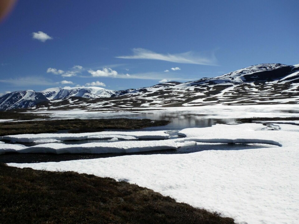 HARDT BESKATTET: Et vårlig Indre Lappskardvatn i Indre Troms med Njunis i bakgrunnen. Foto: Privat