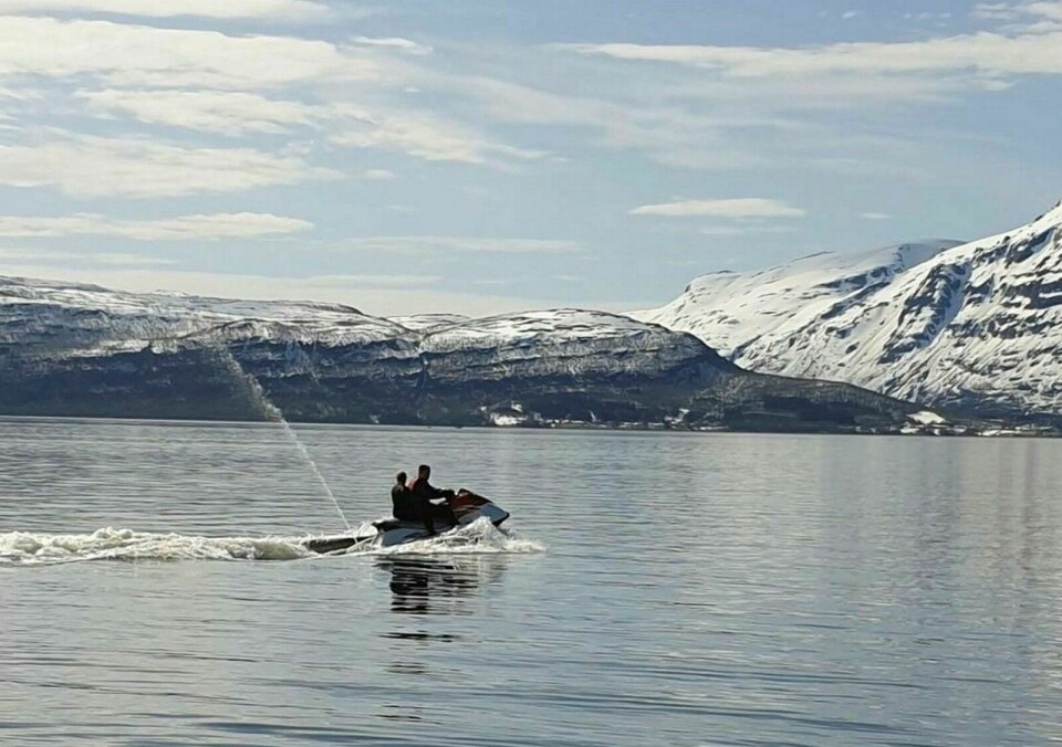 VANNSKUTERLEIE: Disse to kosa seg på fjorden for noen dager siden. Foto: Privat