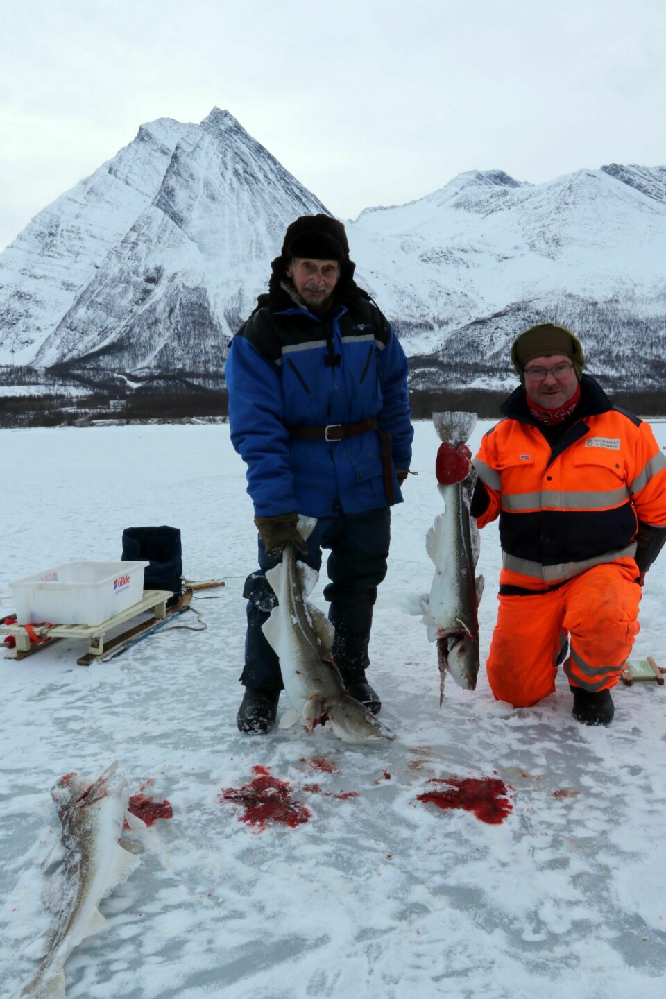 FRA STORFJORD: Hjalmar Nilsen (t.v.) og nabo Hans Ove Heimstad har fått flere pene torsk opp på isen. Foto: Ivar Løvland