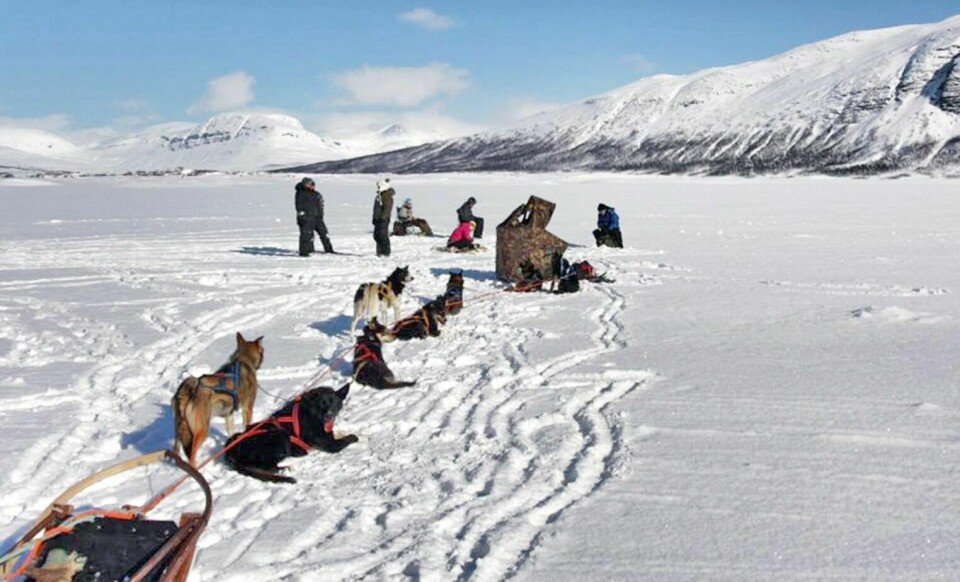 NY ISFISKERUNDE: I midten av april arrangerer Bardu kommune og Midt-Troms friluftsråd den årlige isfisketuren for utviklingshemmede til Altevatn. Bildet ble tatt under isfisketuren i april 2016. Foto: Midt-Troms friluftsråd