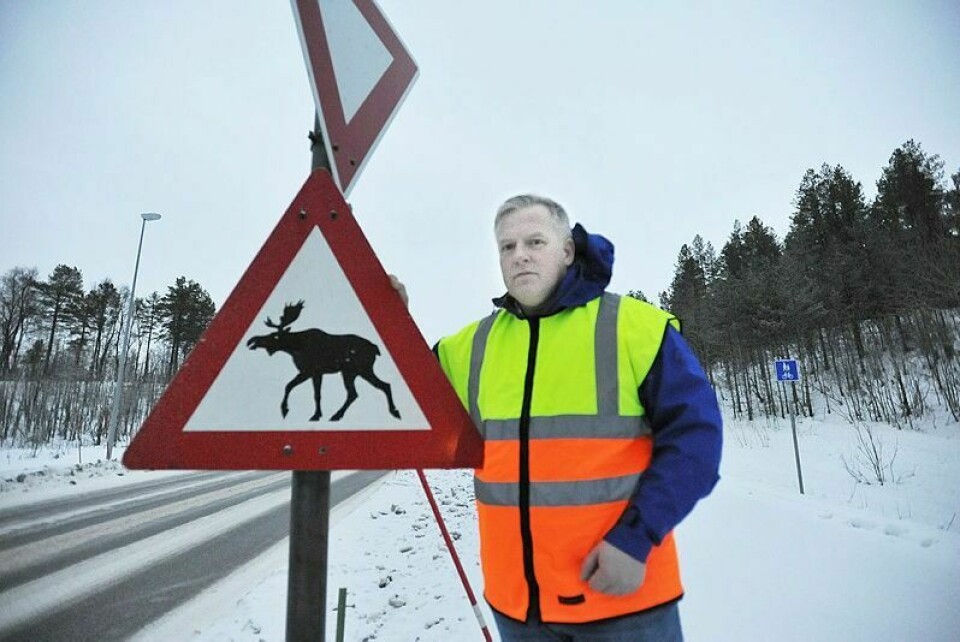 OBSVARSEL: Det store elgtrekket er i full gang. Leder for ettersøkskorpset, Tor Eriksen, ber folk være obs når man ferdes i trafikken. Foto: Kari Anne Skoglund