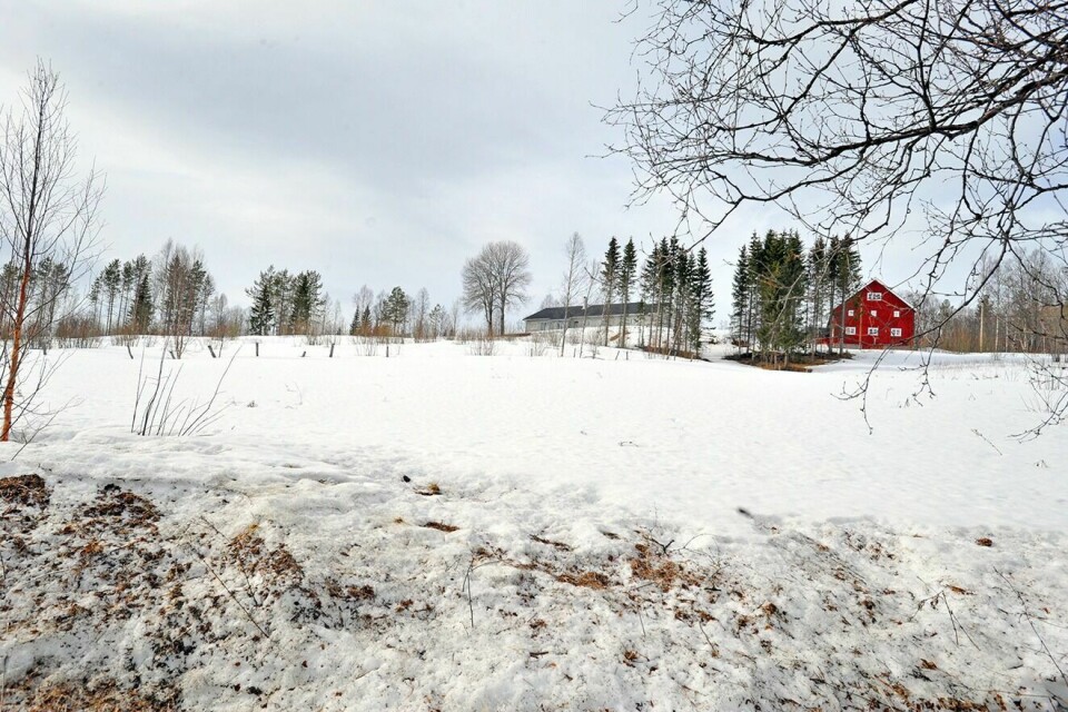 BYGGES I 2018: Tidlig på nyåret vil det være klart hvem som skal bygge boligene med tjenestetilknytning på Øverli for Målselv kommune. Foto: Toril F. Ingvaldsen (Arkivfoto)