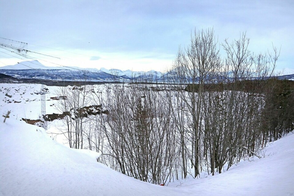 JAKTULYKKA: Denne uka ble rettssaken, i forbindelse med jaktulykka i Balsfjord, ført i Nord-Troms tingrett. Aktor la ned påstand om 120 dagers fengsel Foto: Ivar Løvland (Arkivfoto)