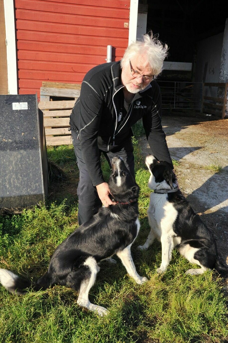 PÅ GÅRDEN: Sauebonde Lars Ivar Fause ber dem som skal ferdes i marka, om å gi beskjed til nærmeste bonde dersom de møter på sau. Foto: Sol Gabrielle Larsen