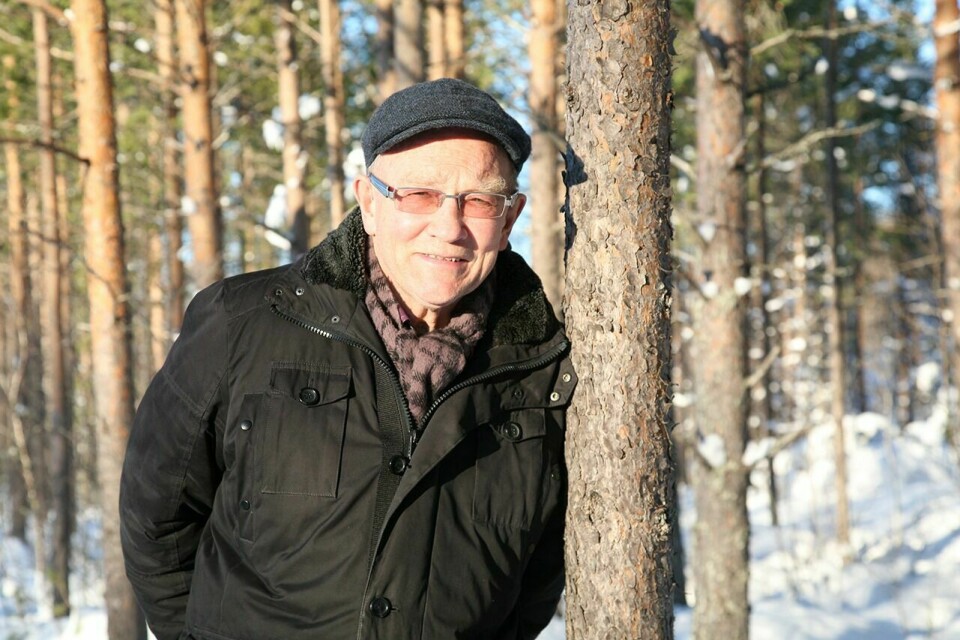 FURUFAR: Gunnar Kvaal (70) slutter formelt i jobben som rådgiver 31. mars, etter 37 år i Balsfjord. – Jeg kommer nok likevel til å jobbe litt med skogbruksprosjekter også etterpå. Det er fortsatt mye å ta tak i, sier han. Foto: Lill-Karin Elevstad