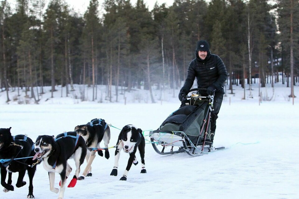 GA OPP: Hundekjører Tom Frode Johansen hadde planer om å kjøpe Postdalen geitseter i Tamokdalen. Foto: Ivar Løvland