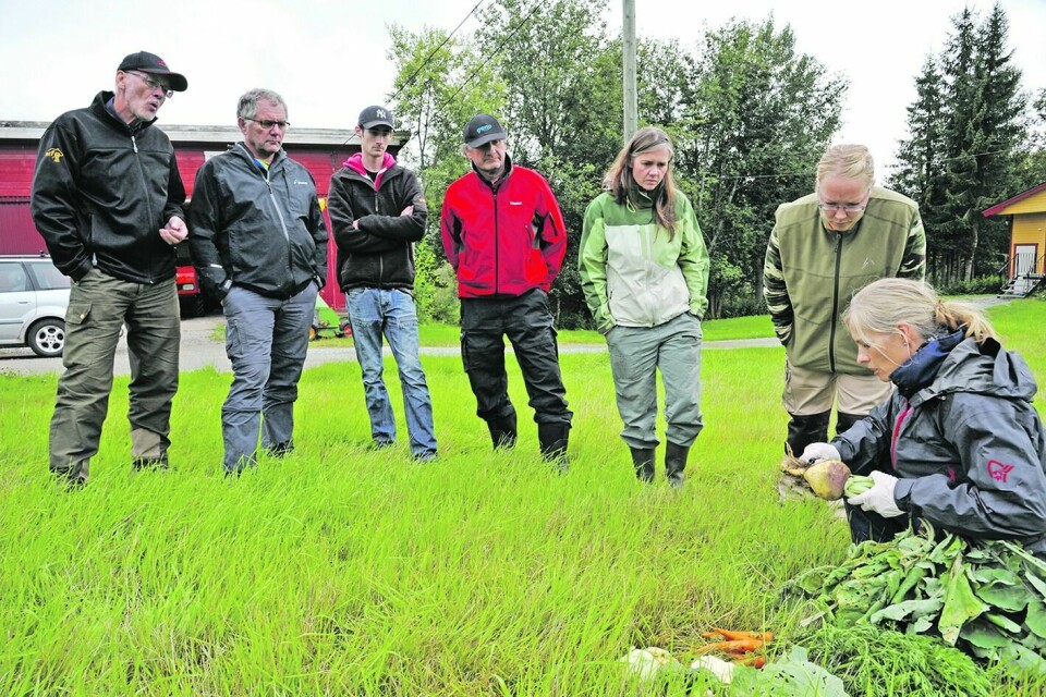 NÆRINGSUTVIKLING: Landbruk Nord ønsker å hjelpe bønder til å tenke nytt om gårdsdrift. I den forbindelse inviteres det til informasjonsmøte om næringsutvikling på gården. (Illustrasjonsfoto)