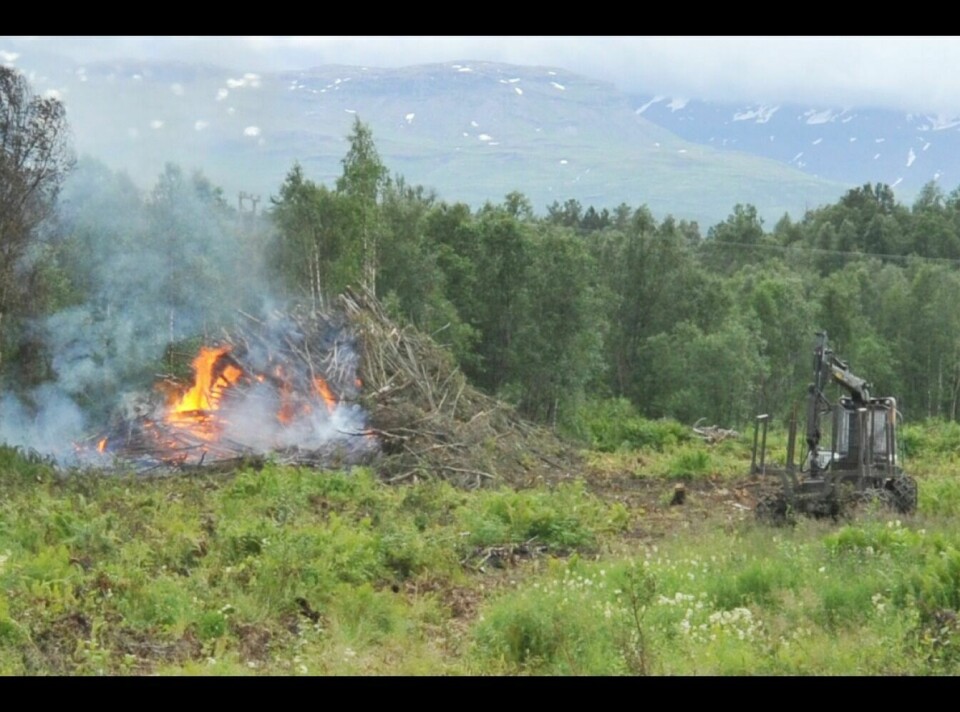 TENTE PÅ: I forbindelse med at veiomlegging ved Høyden på Setermoen har det vært hugd store mengder skog. Men både politi og brannvesen ble tilkalt etter at naboer og forbipasserende reagerte på at skogen ble lagt i en haug og tent på.